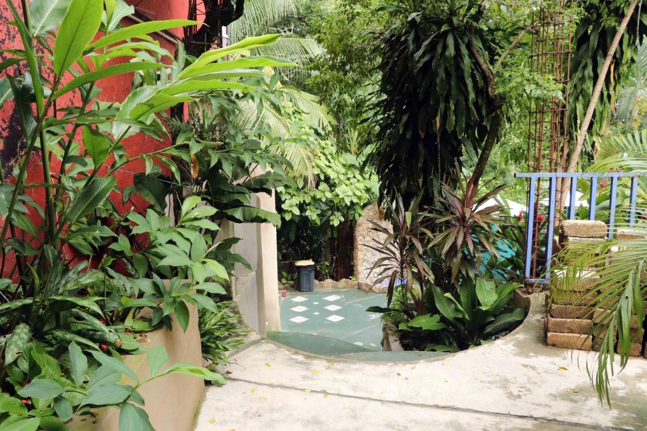 פלנקה Hotel Quinta Avenida מראה חיצוני תמונה
